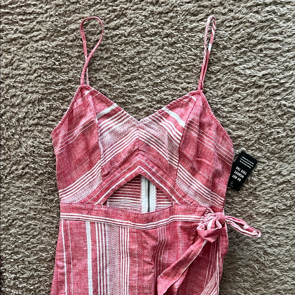 Express Pink Striped Dress